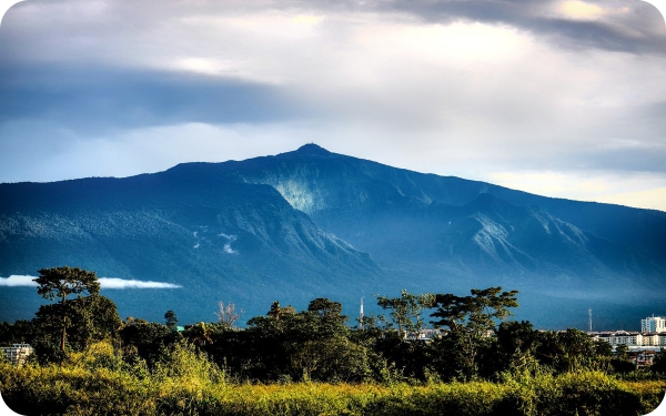Seminar CEAUP 2023-2024: TRAUMA, MEM&Oacute;RIA E IDENTIDADE NA LITERATURA DA GUIN&Eacute; EQUATORIAL