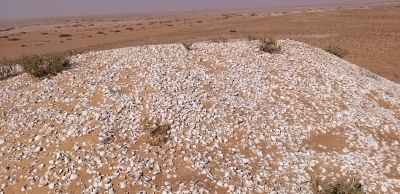 CEAUP co-operation protocols with Mauritanian institutions