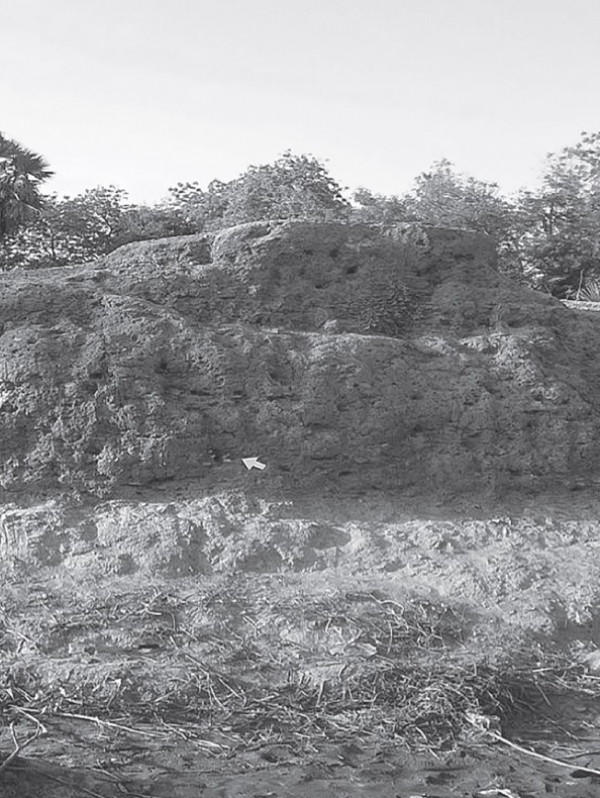 Seminar CEAUP 2021-2022: LES POTENTIALIT&Eacute;S ARCH&Eacute;OLOGIQUES DU TCHAD