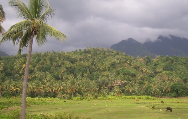 12th Conference CEAUP 2021-2022: THE ENVIRONMENT IN THE COLONIAL NARRATIVE: A COLONIAL CONTROVERSY?