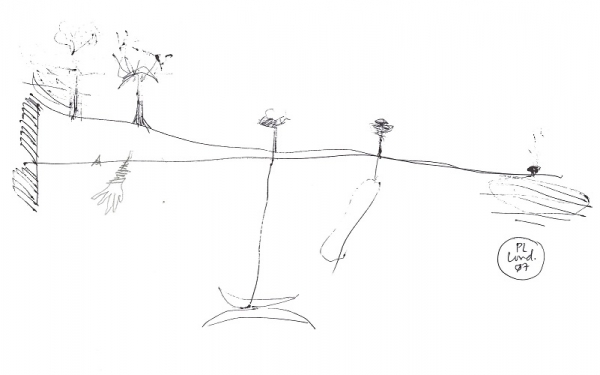 7th Conference CEAUP 2018-19: African Women Writers: The Multiple Subalterne Ways