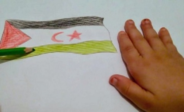 Public Release of the Report Saharawi Children and Students under  Occupation