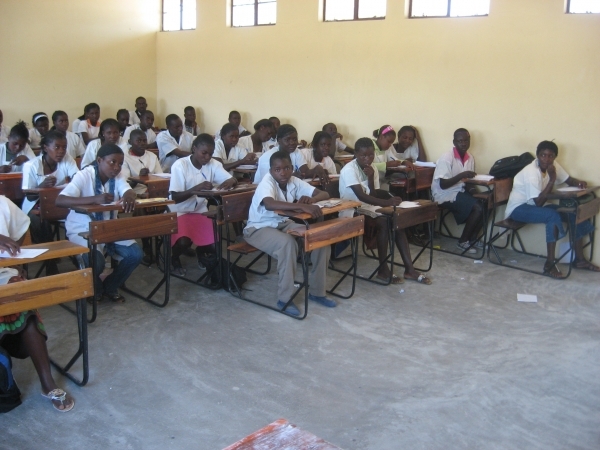 National - but unofficial - Languages in Africa: To know them in order to conserver and value them