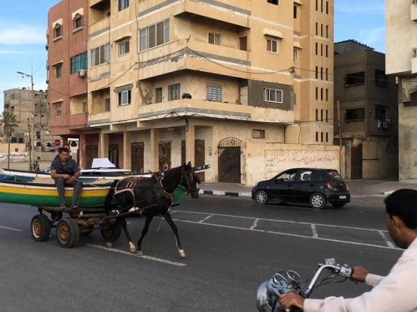 9&ordf; Confer&ecirc;ncia CEAUP 2018-19: Reflex&otilde;es sobre cria&ccedil;&atilde;o de emprego decente na faixa de Gaza