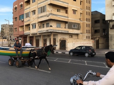 9&ordf; Confer&ecirc;ncia CEAUP 2018-19: Reflex&otilde;es sobre cria&ccedil;&atilde;o de emprego decente na faixa de Gaza