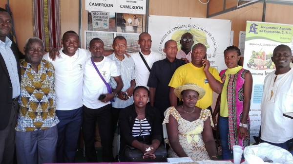 The Coooperative movement and the African Agricultural Cooperatives &ndash; Paths for wider cooperation