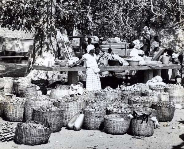 10&ordf; Conferencia CEAUP 2023-2024: Kuzumbuca: territorialidade, experi&ecirc;ncias sociais e consumo alimentar em Luanda (1949-1973)