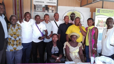 O movimento cooperativo e as cooperativas agr&iacute;colas africanas &ndash; pistas para uma maior coopera&ccedil;&atilde;o