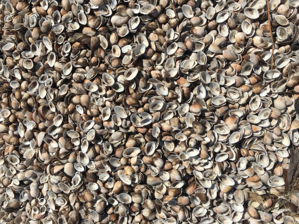 4th Conference CEAUp 2022-2023:  FILOSOFIA NA LITERATURA MO&Ccedil;AMBICANA &ndash; RELA&Ccedil;&Otilde;ES DE POROSIDADE E PROXIMIDADE