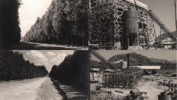 1ST CONFERENCE POSTPONED DUE TO CIVIL SERVICE STRIKE