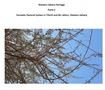 Working paper: WESTERN SAHARA HERITAGE - PARTE 2: NOMADIC PASTORAL SYSTEM IN TIFARITI AND BIR LAHLOU, WESTERN SAHARA