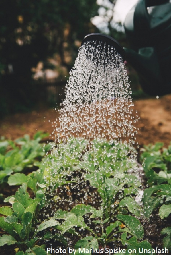 1st Conference CEAUP 2021-2022 - PORTRAYAL OF SUB-SAHARAN AFRICA AND SIGNALLING OF INDIVIDUAL, FEMALE AND FAMILY CONTRIBUTIONS TO SDGS: ANALYSIS OF SOCIAL MEDIA POSTS OF THE FOOD AND AGRICULTURE ORGANIZATION