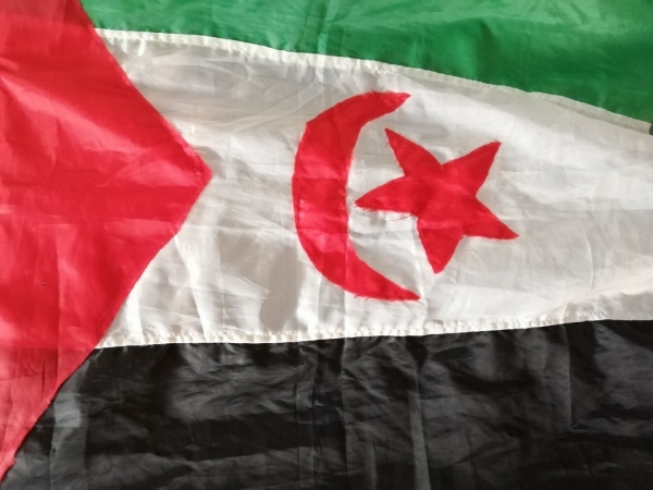 Illegal Expulsion of CEAUP researcher Isabel Louren&ccedil;o from W. Sahara by the Moroccan authorities - Full Report