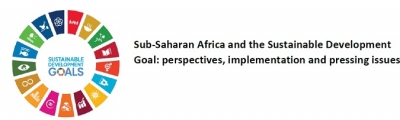 Sub-Saharan Africa and the Sustainable Development Goal: perspectives, implementation and pressing issues