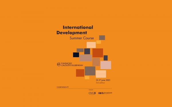 III Edition of the International Development Summer Course